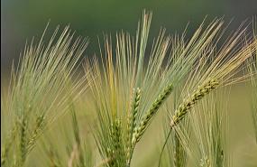 Позитивный прогноз на&hellip;